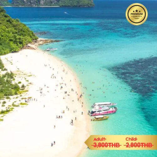 Phi Phi Islands-Bamboo by Speed Catamaran