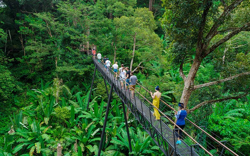Zipline Park Phuket - Image 3