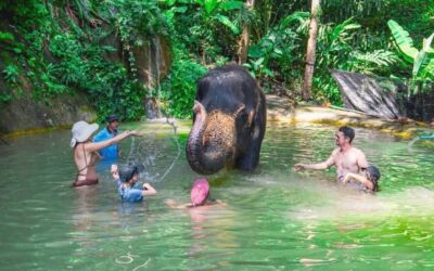 You Should Visit Phuket During the Green Season