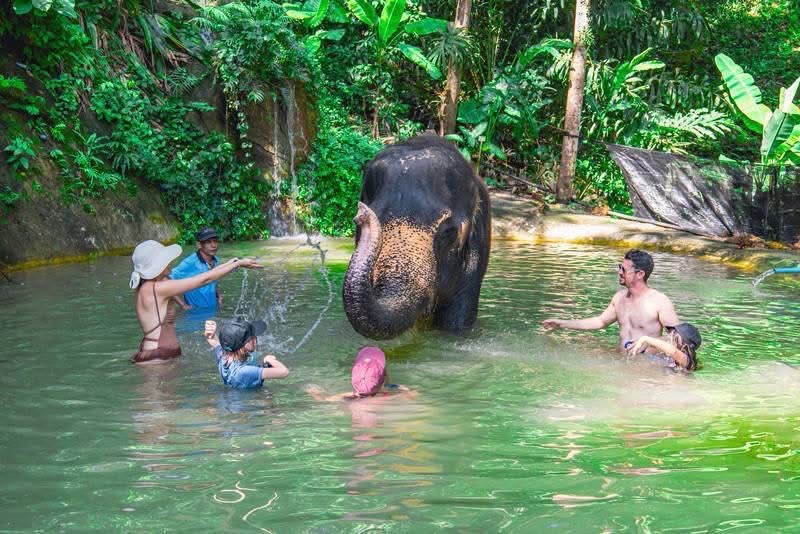 You Should Visit Phuket During the Green Season