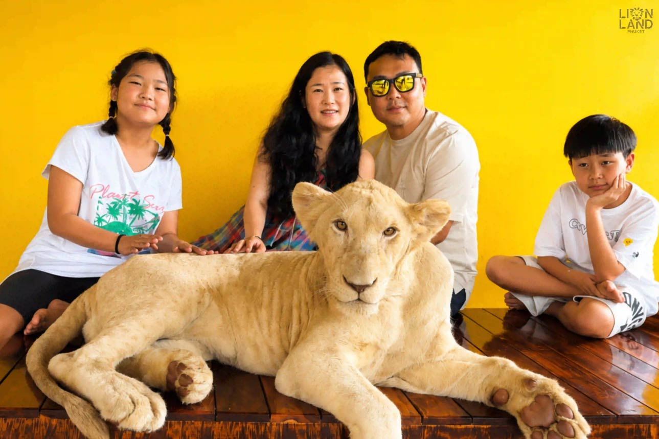 Lion Land